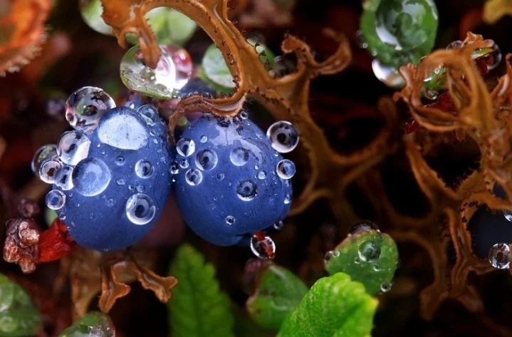 Screenshot_20200124-201359_Samsung Notes.webp