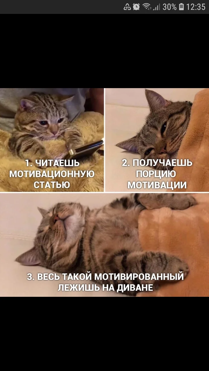 Screenshot_20200128-123534_Samsung Internet.webp