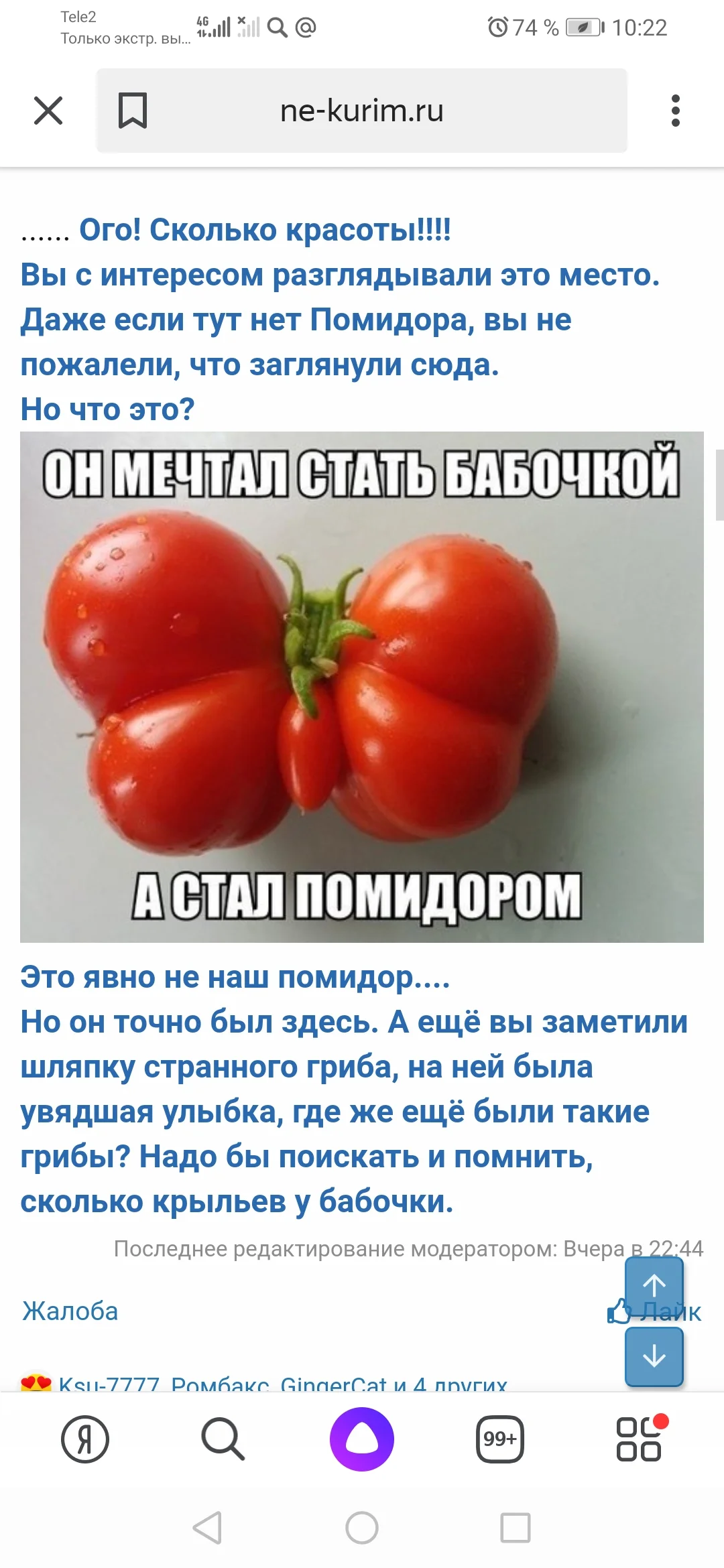 Screenshot_20200204_102201_ru.yandex.searchplugin.webp
