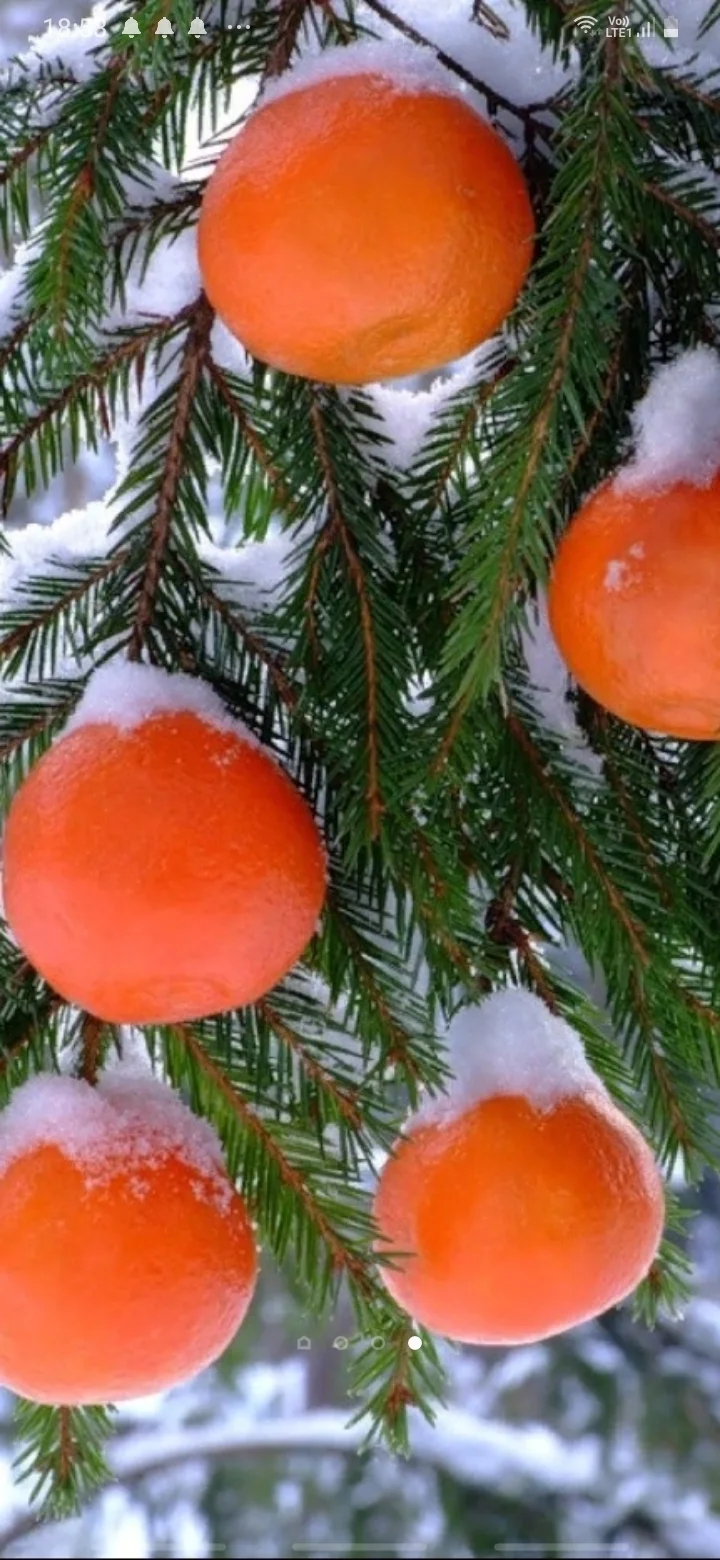 Screenshot_20200217-185356_One UI Home.webp