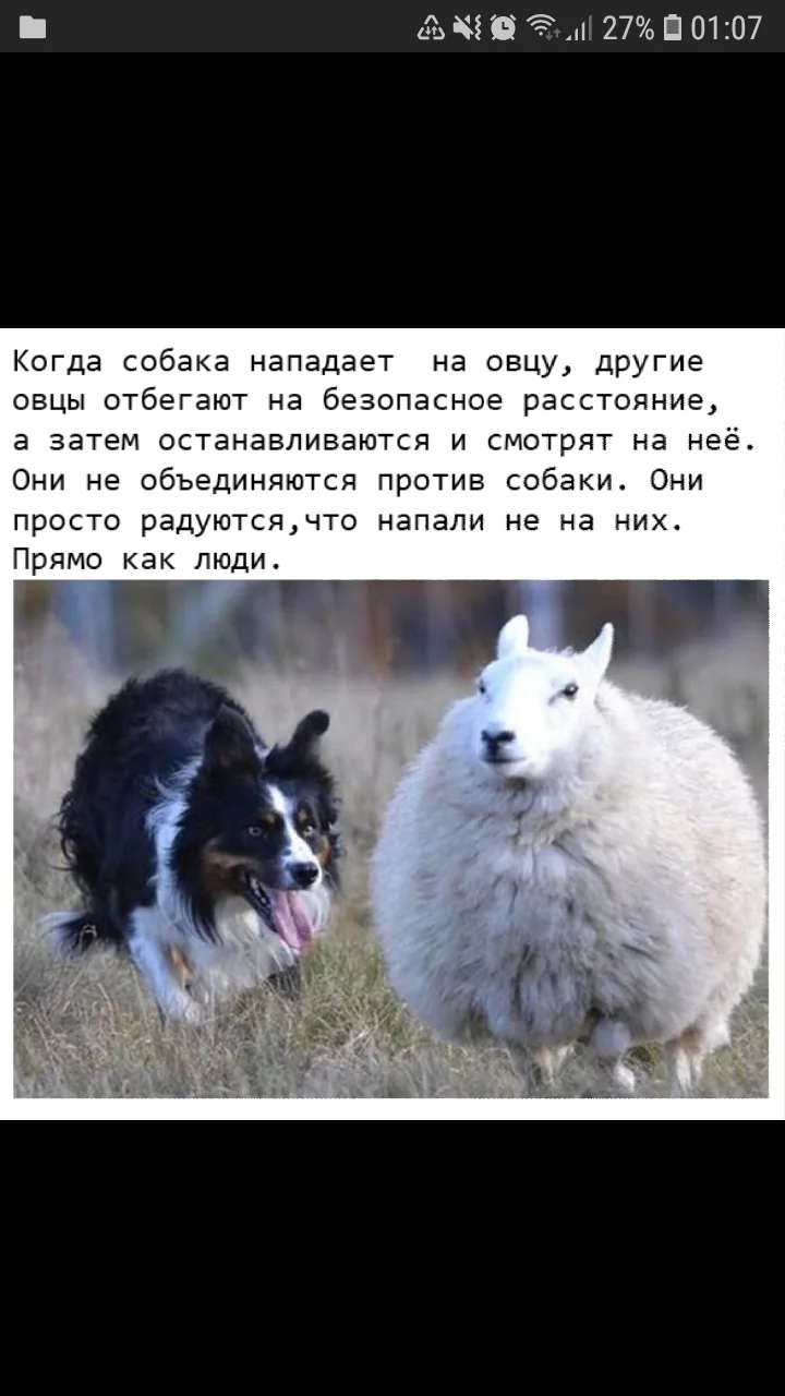 Screenshot_20200227-010723_Samsung Internet.webp