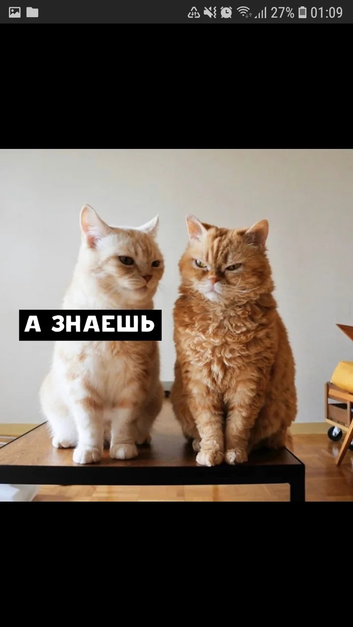 Screenshot_20200227-010934_Samsung Internet.webp