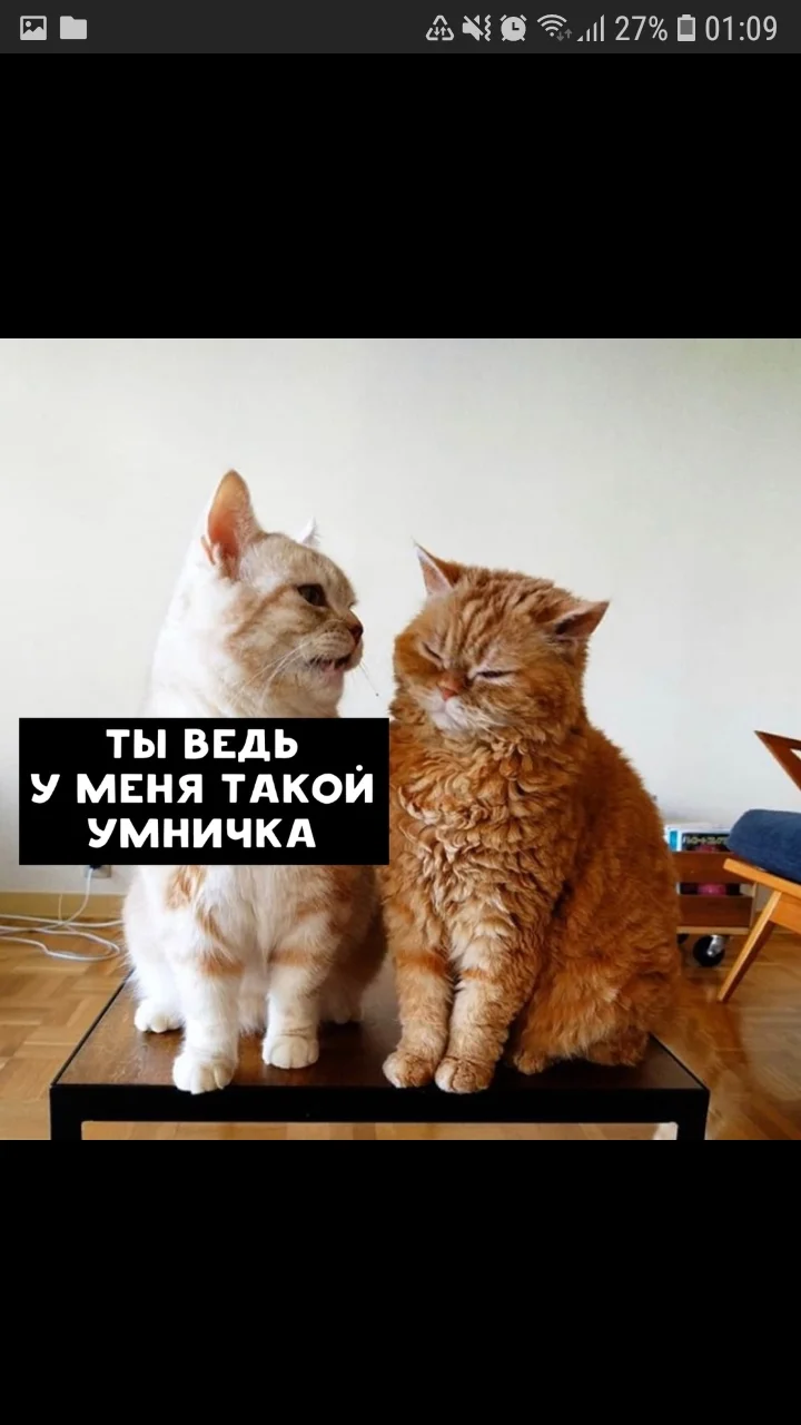 Screenshot_20200227-010944_Samsung Internet.webp