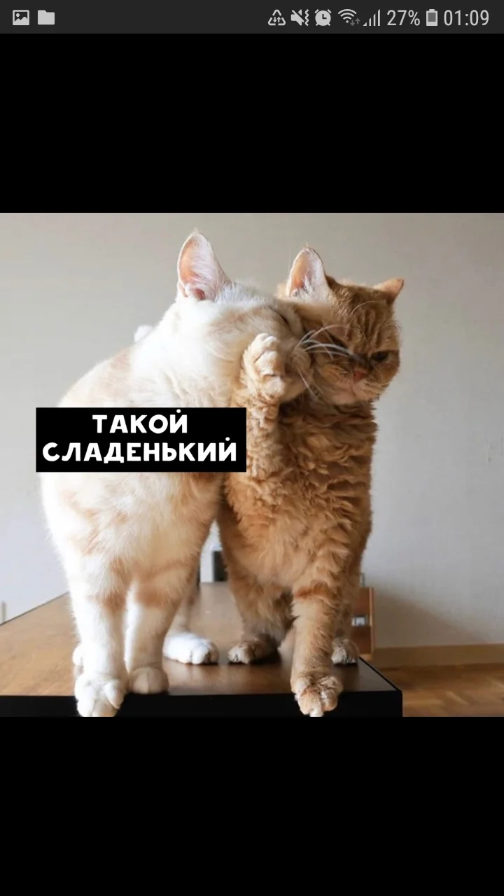 Screenshot_20200227-010949_Samsung Internet.webp