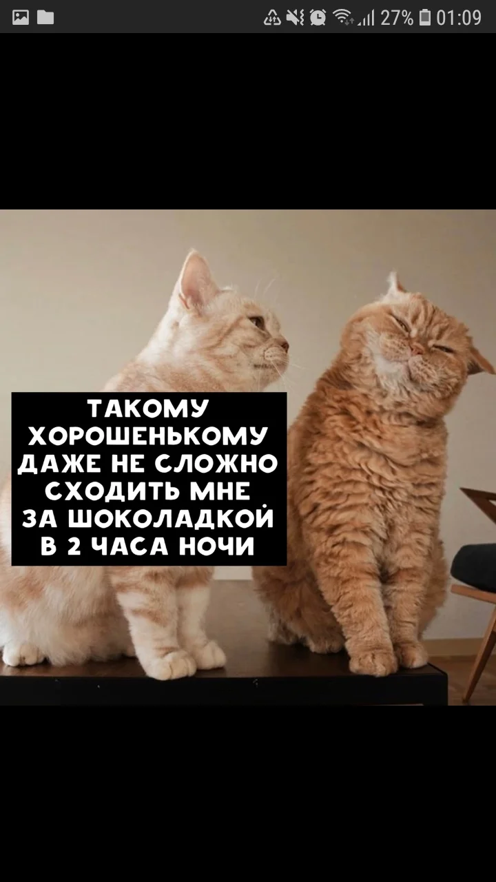 Screenshot_20200227-010954_Samsung Internet.webp