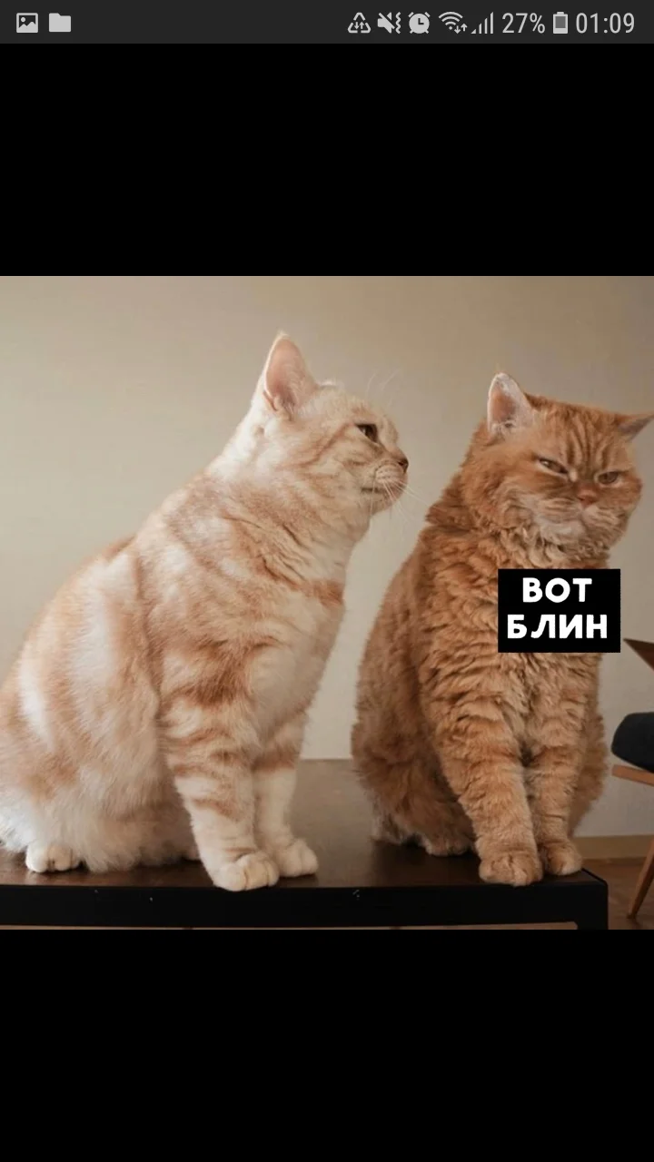 Screenshot_20200227-010958_Samsung Internet.webp