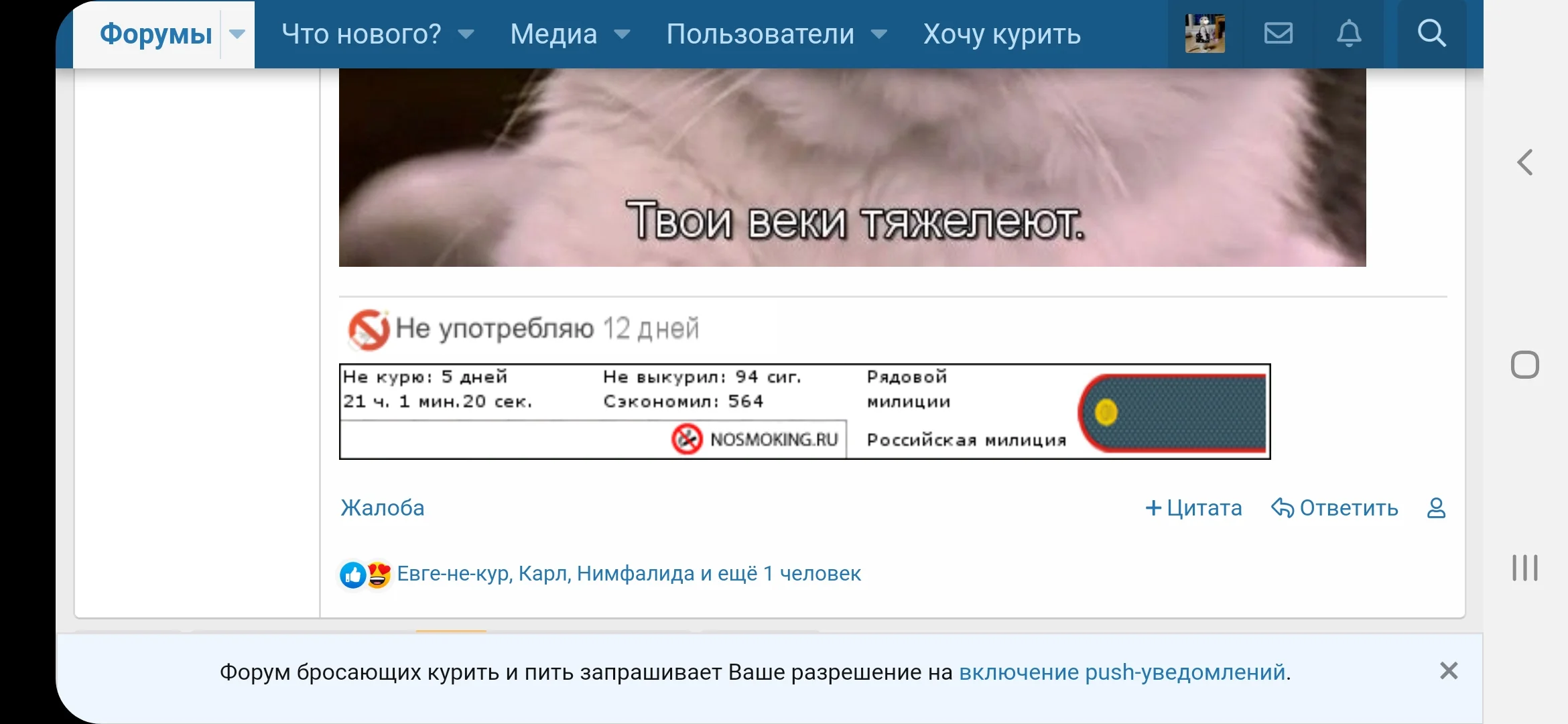 Screenshot_20200329-150324_Samsung Internet.webp