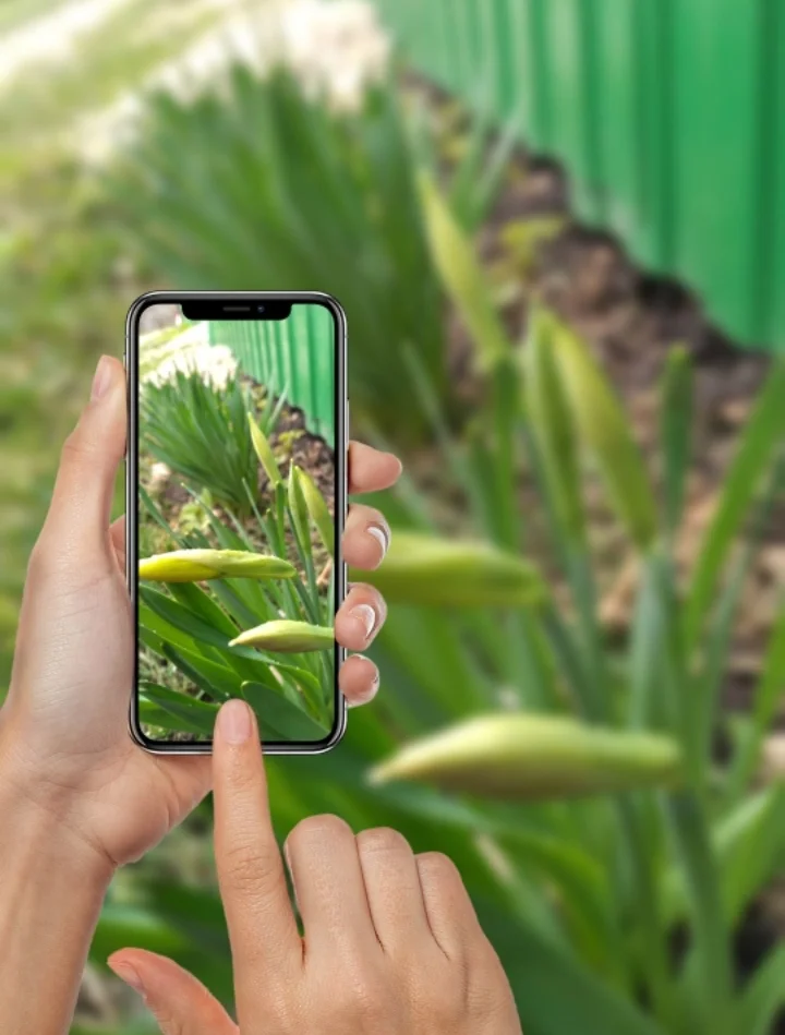 Screenshot_20200417-175638_Photo Lab.webp