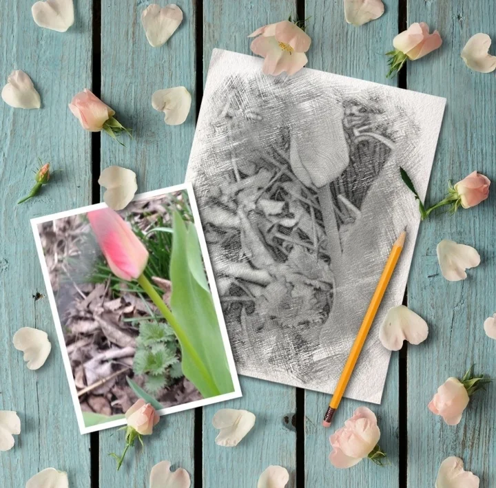 Screenshot_20200417-180011_Photo Lab.webp