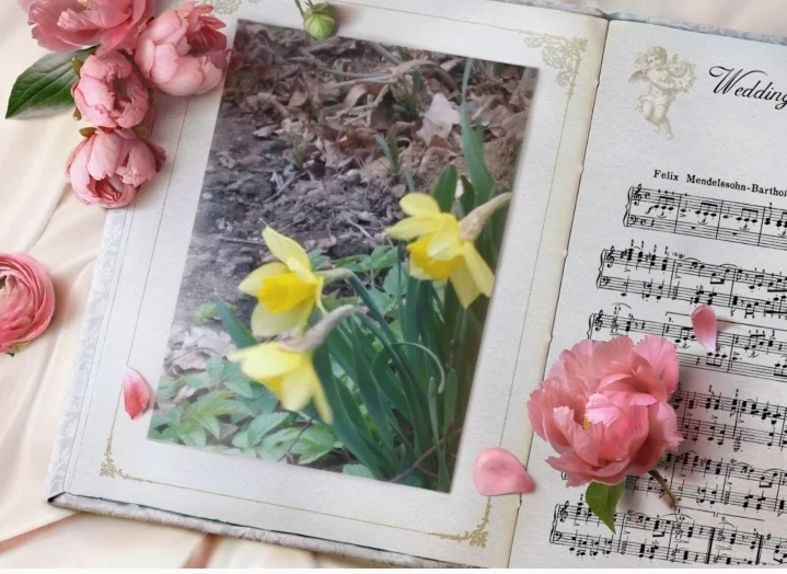 Screenshot_20200417-180107_Photo Lab.webp