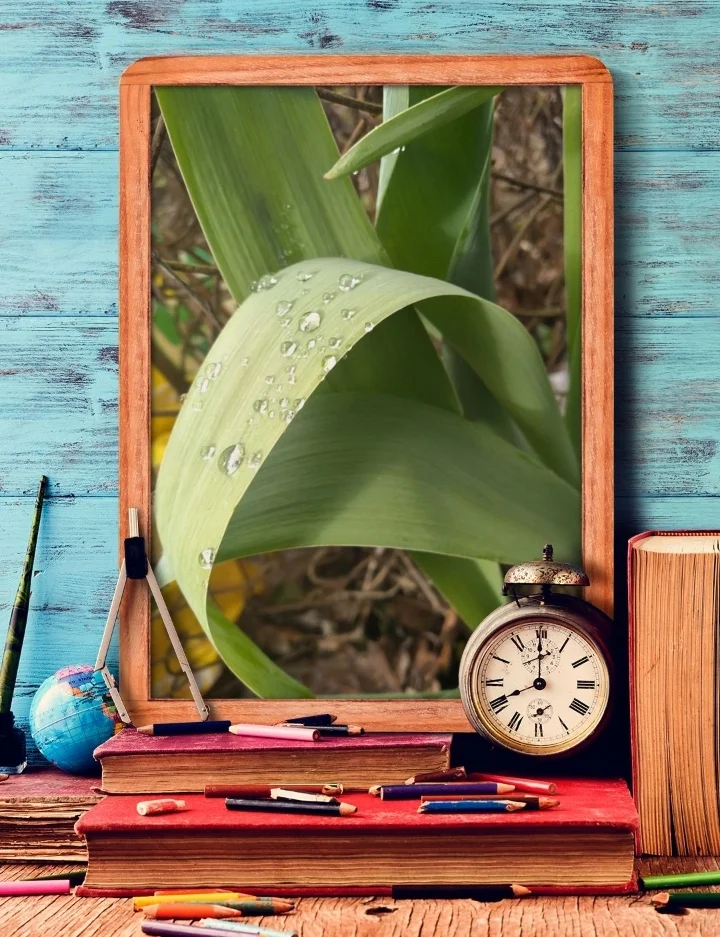 Screenshot_20200420-130030_Photo Lab.jpg