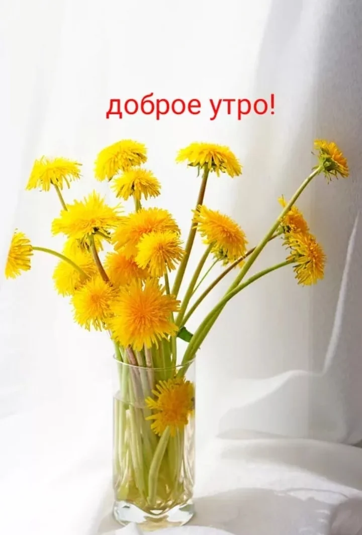 Screenshot_20200425-073521_Yandex.webp