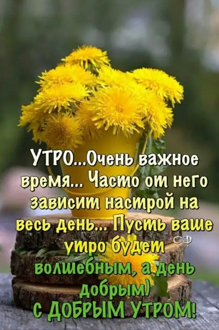 Screenshot_20200515-080721_Yandex.jpg