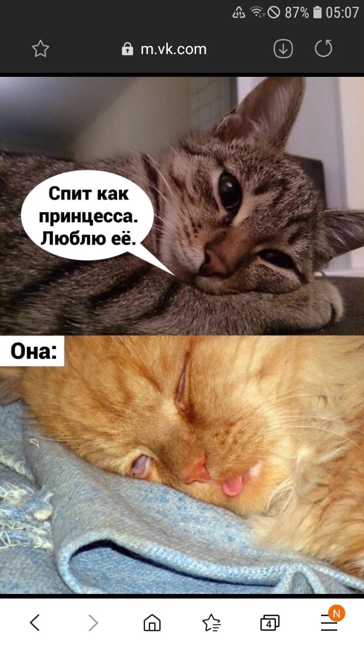 Screenshot_20200516-050702_Samsung Internet.webp