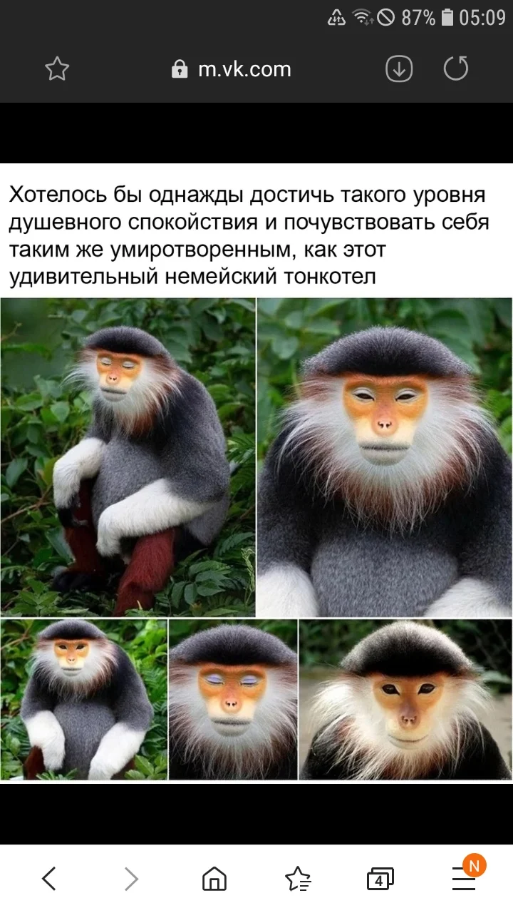 Screenshot_20200516-050933_Samsung Internet.webp