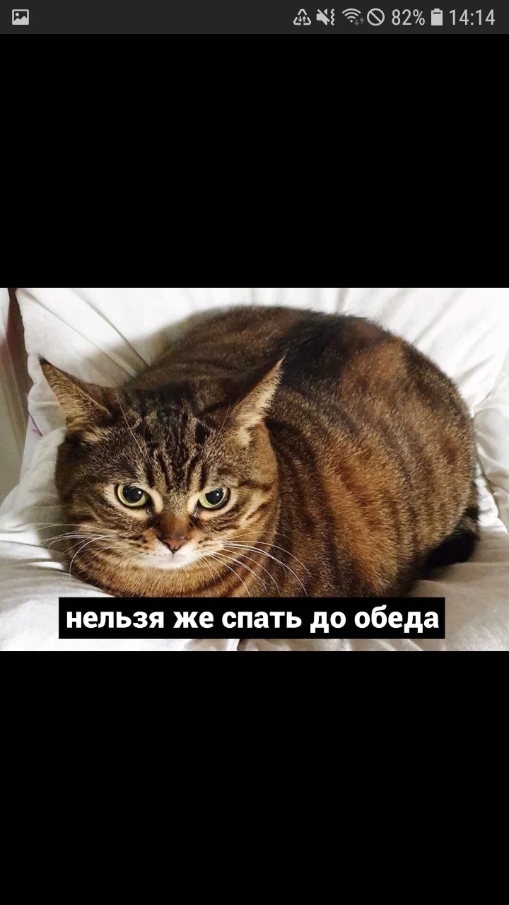 Screenshot_20200524-141419_Samsung Internet.webp