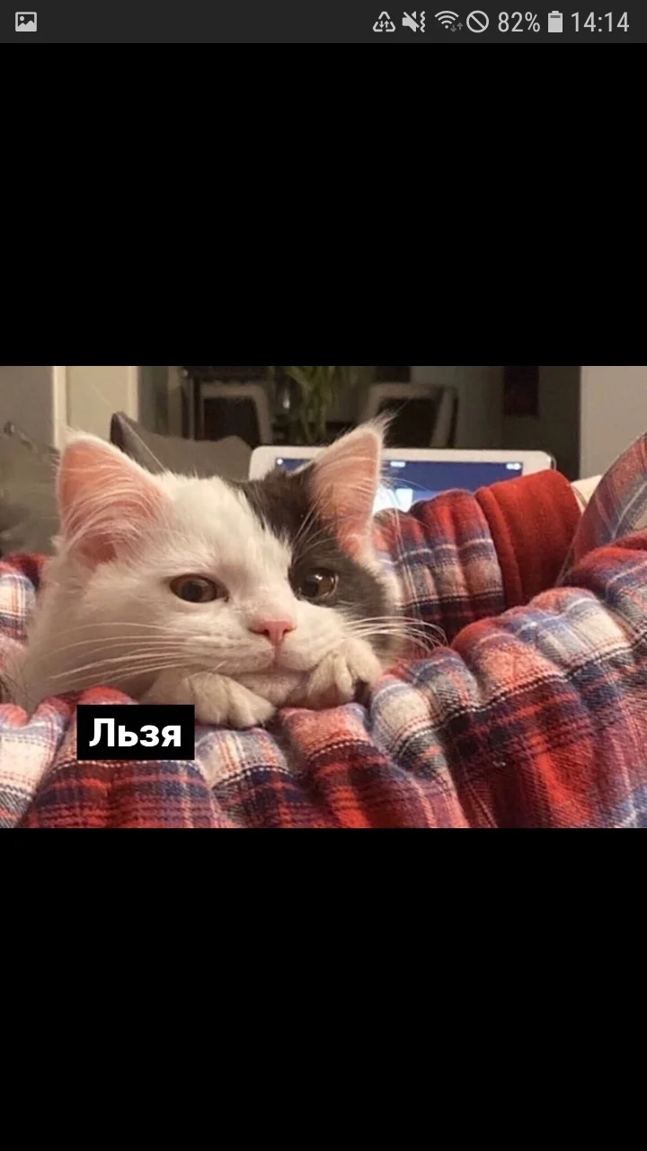 Screenshot_20200524-141429_Samsung Internet.webp