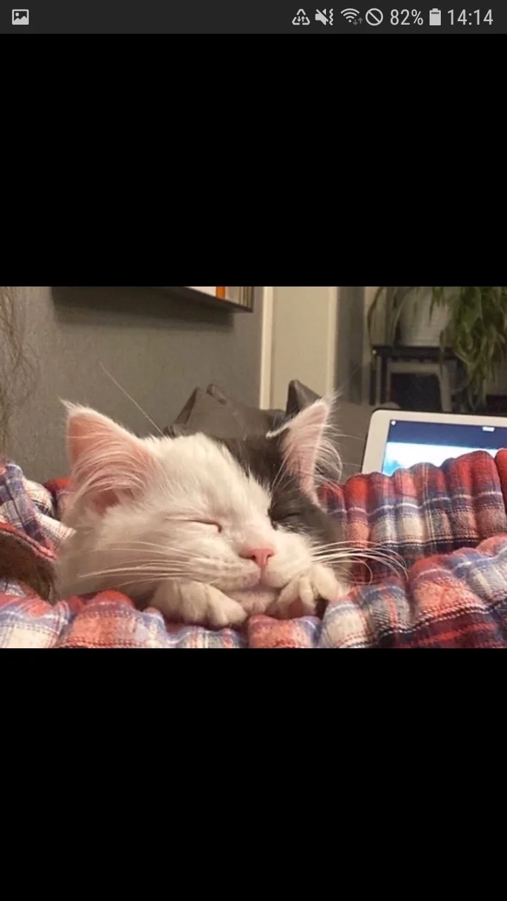 Screenshot_20200524-141436_Samsung Internet.webp