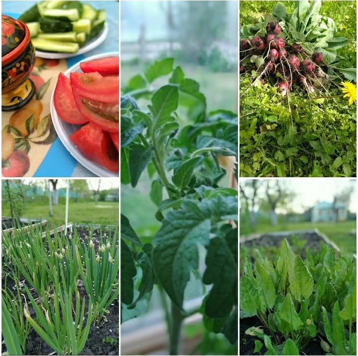 Screenshot_20200531-140041_Photo Editor.jpg