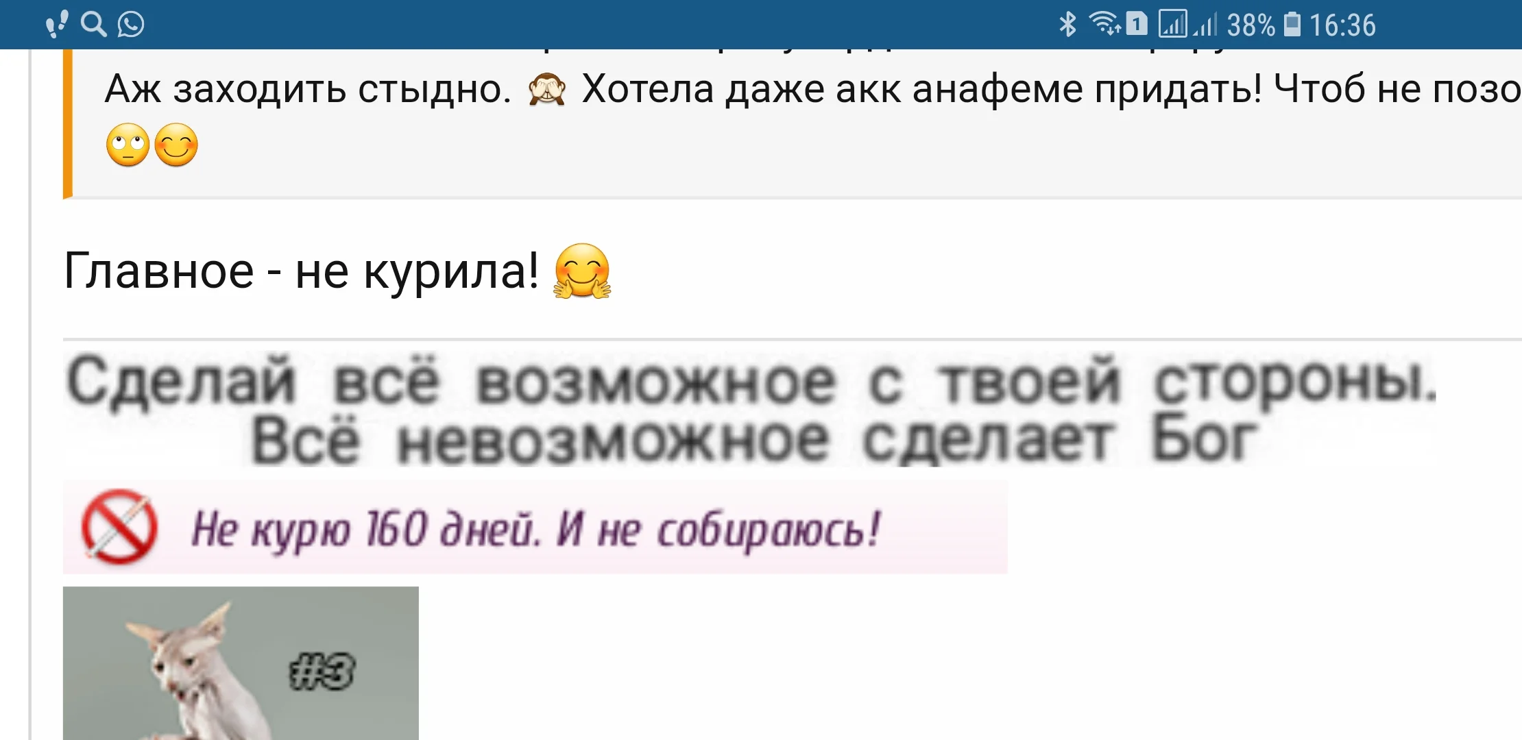 Screenshot_20200615-163609_Samsung Internet.webp