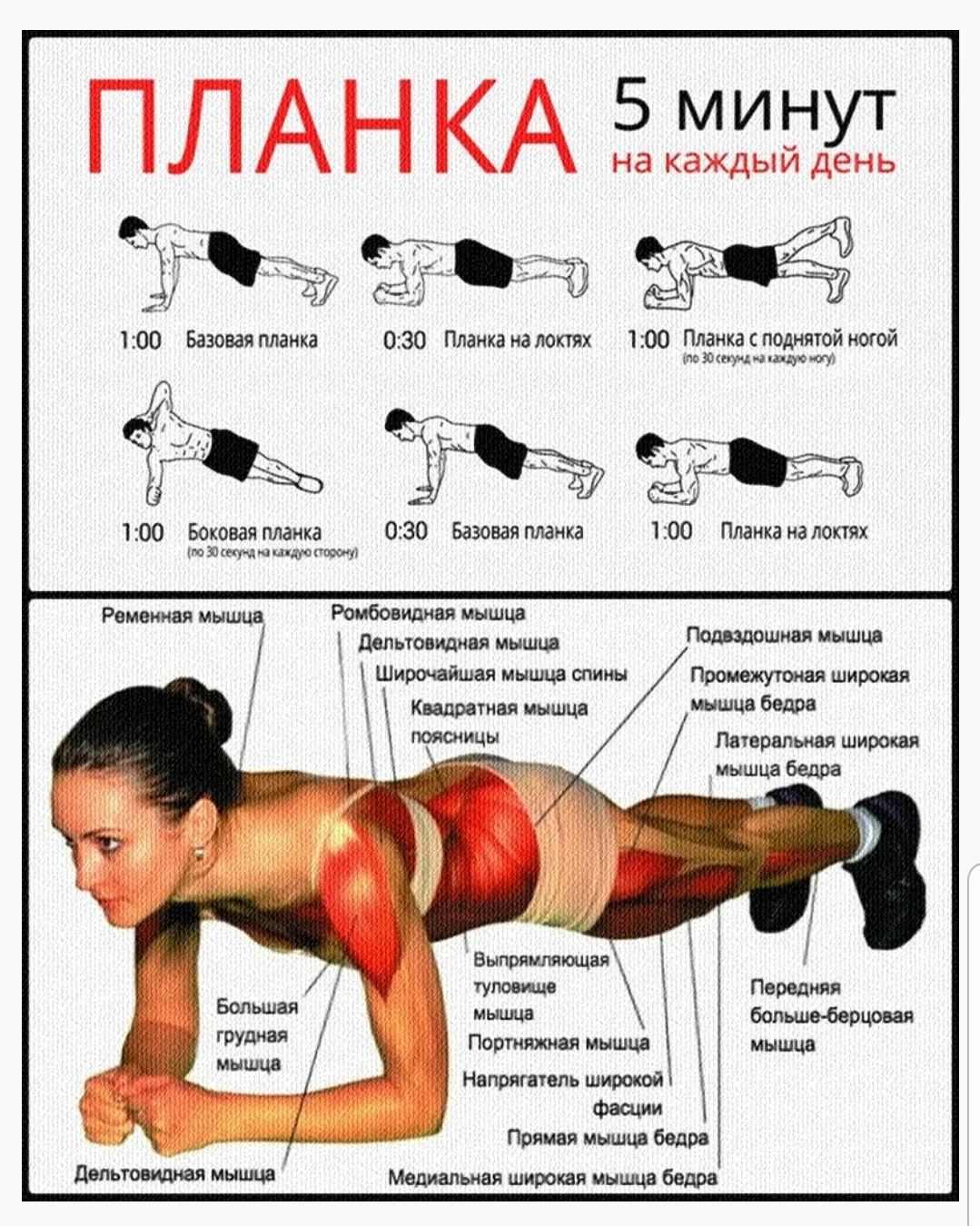 Screenshot_20200805-082643_Samsung Internet.webp