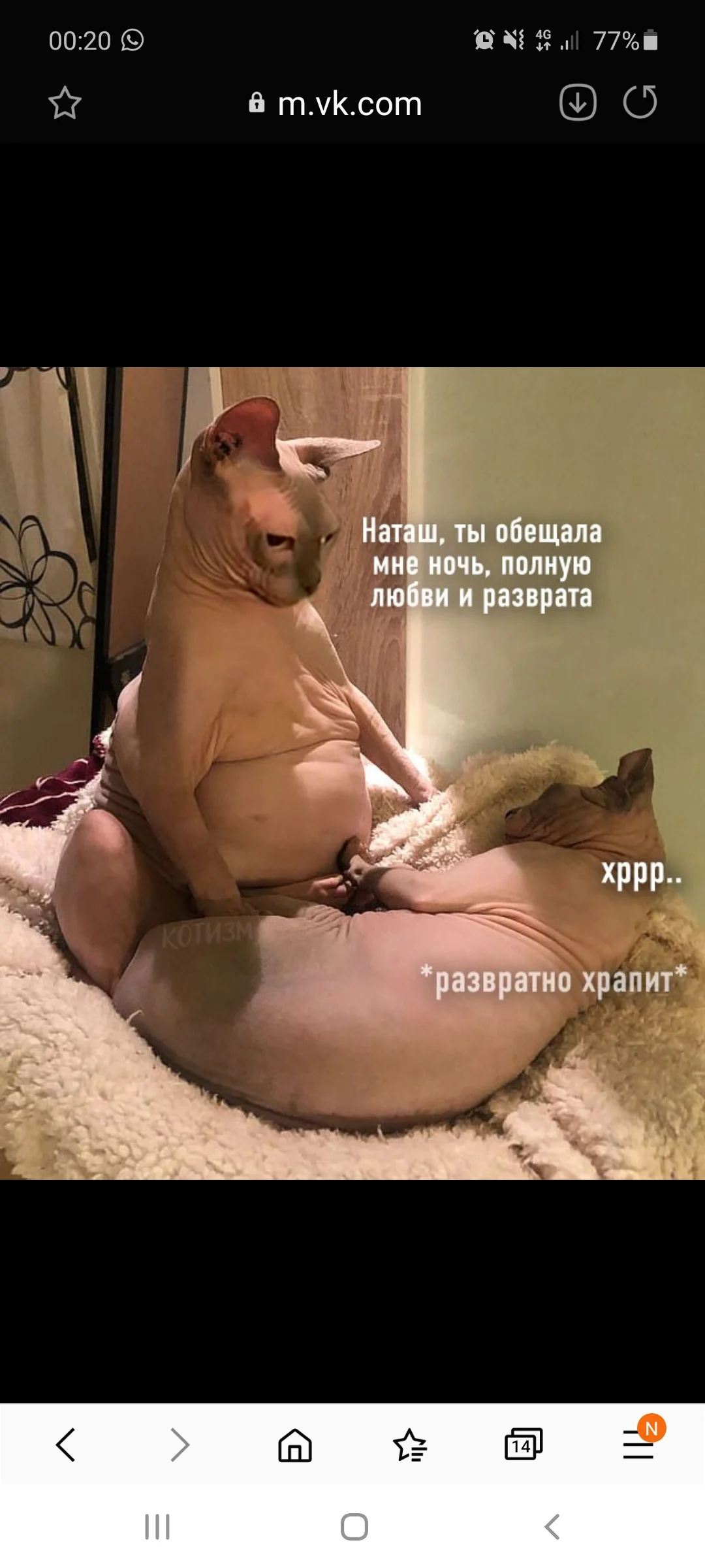 Screenshot_20200826-002048_Samsung Internet.webp