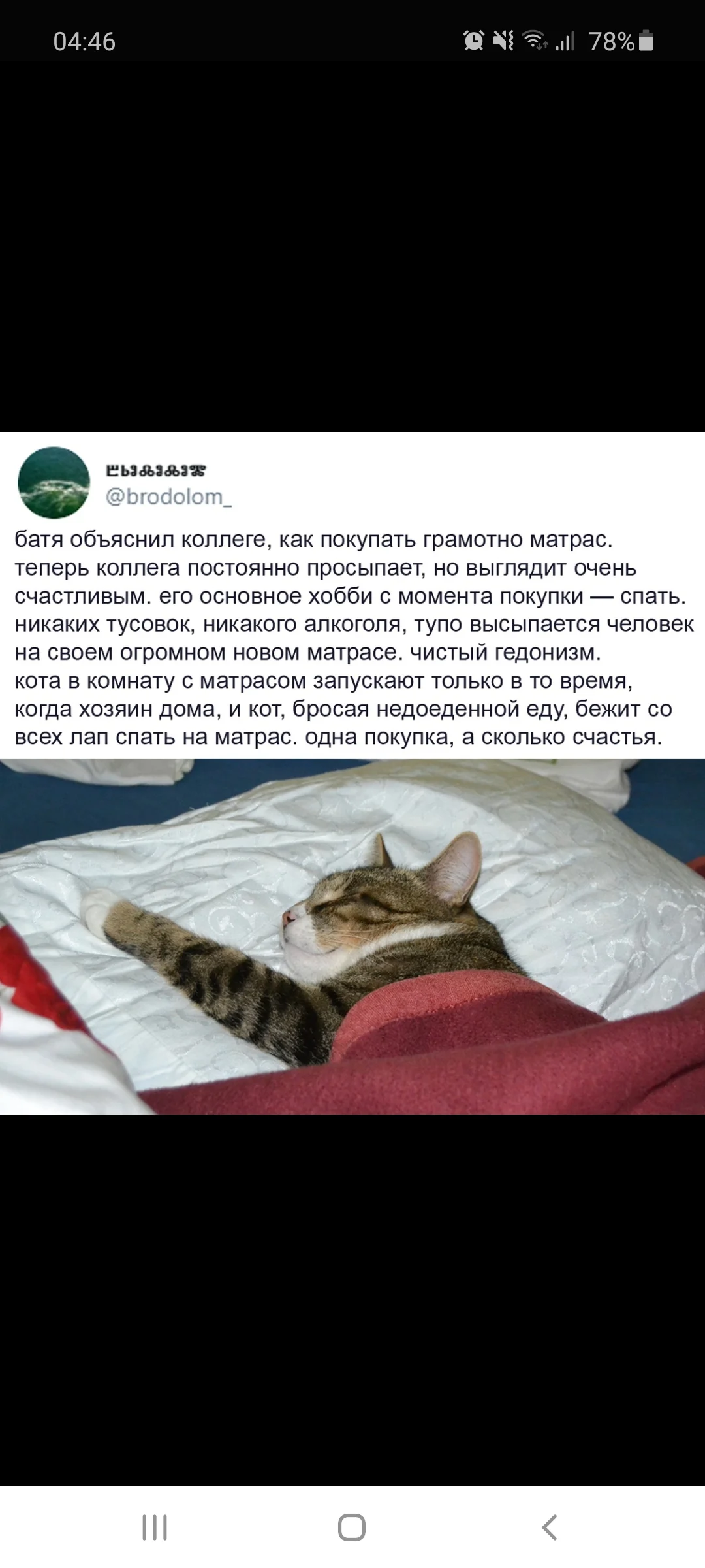 Screenshot_20200905-044652_Samsung Internet.webp