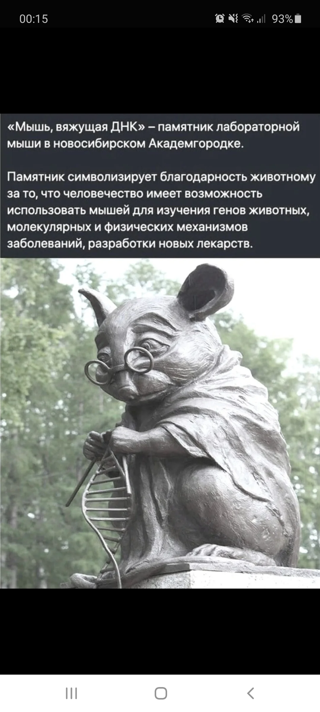 Screenshot_20200912-001518_Samsung Internet.webp