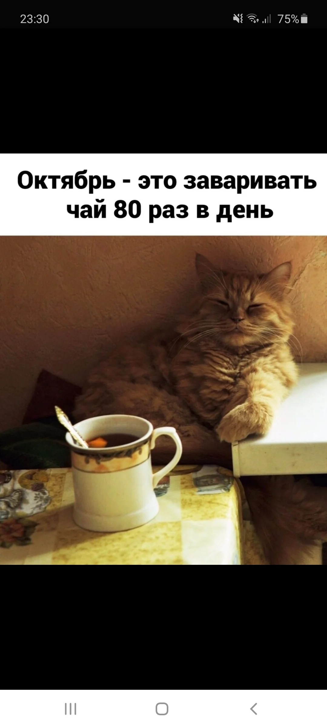 Screenshot_20201003-233016_Samsung Internet.webp