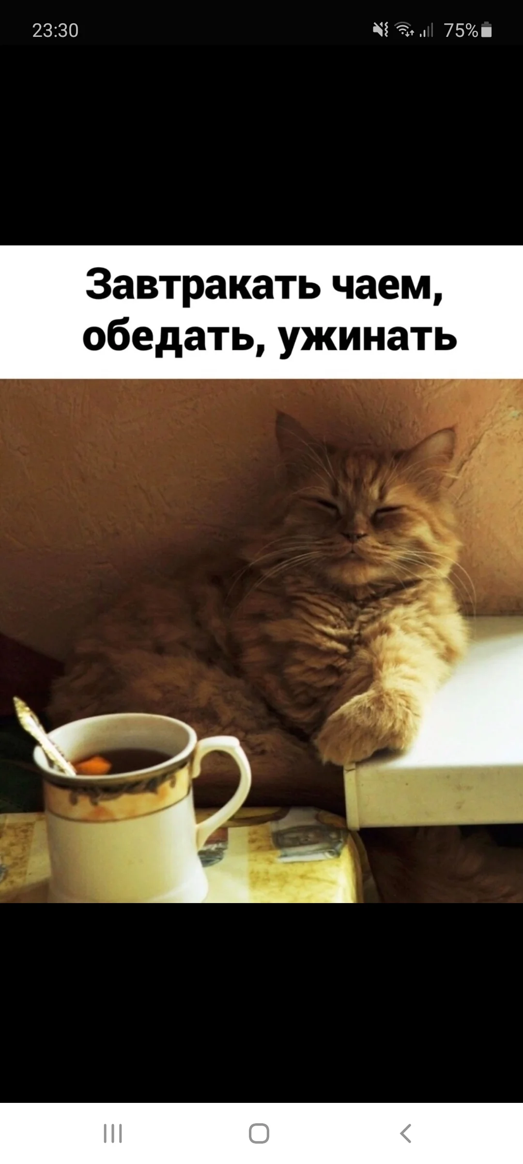 Screenshot_20201003-233023_Samsung Internet.webp