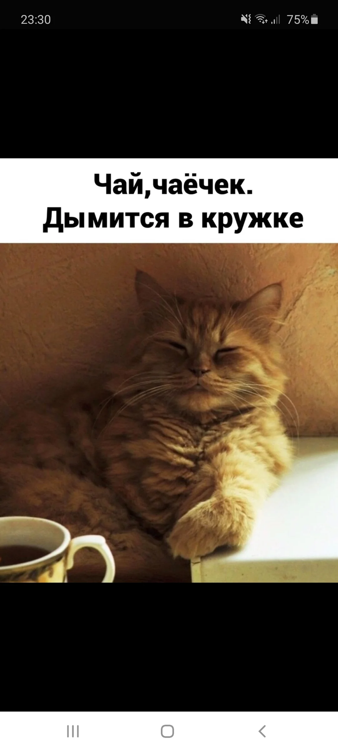 Screenshot_20201003-233037_Samsung Internet.webp