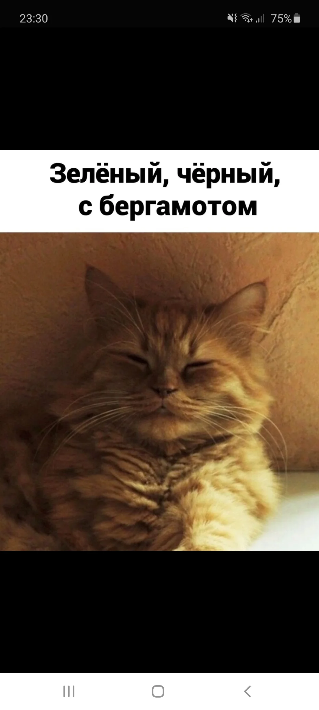 Screenshot_20201003-233050_Samsung Internet.webp