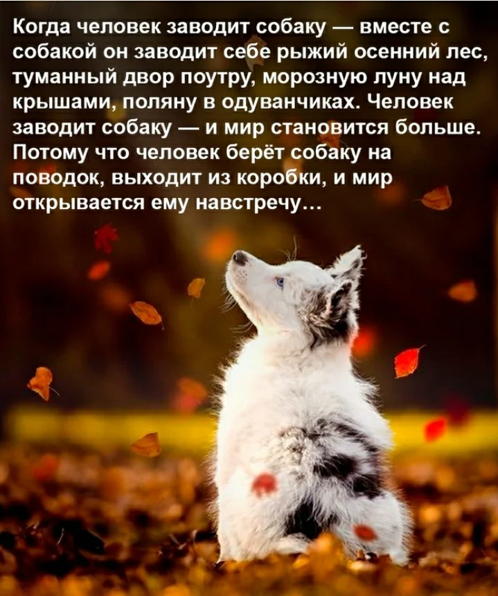 Screenshot_20201017-141344_VK.webp