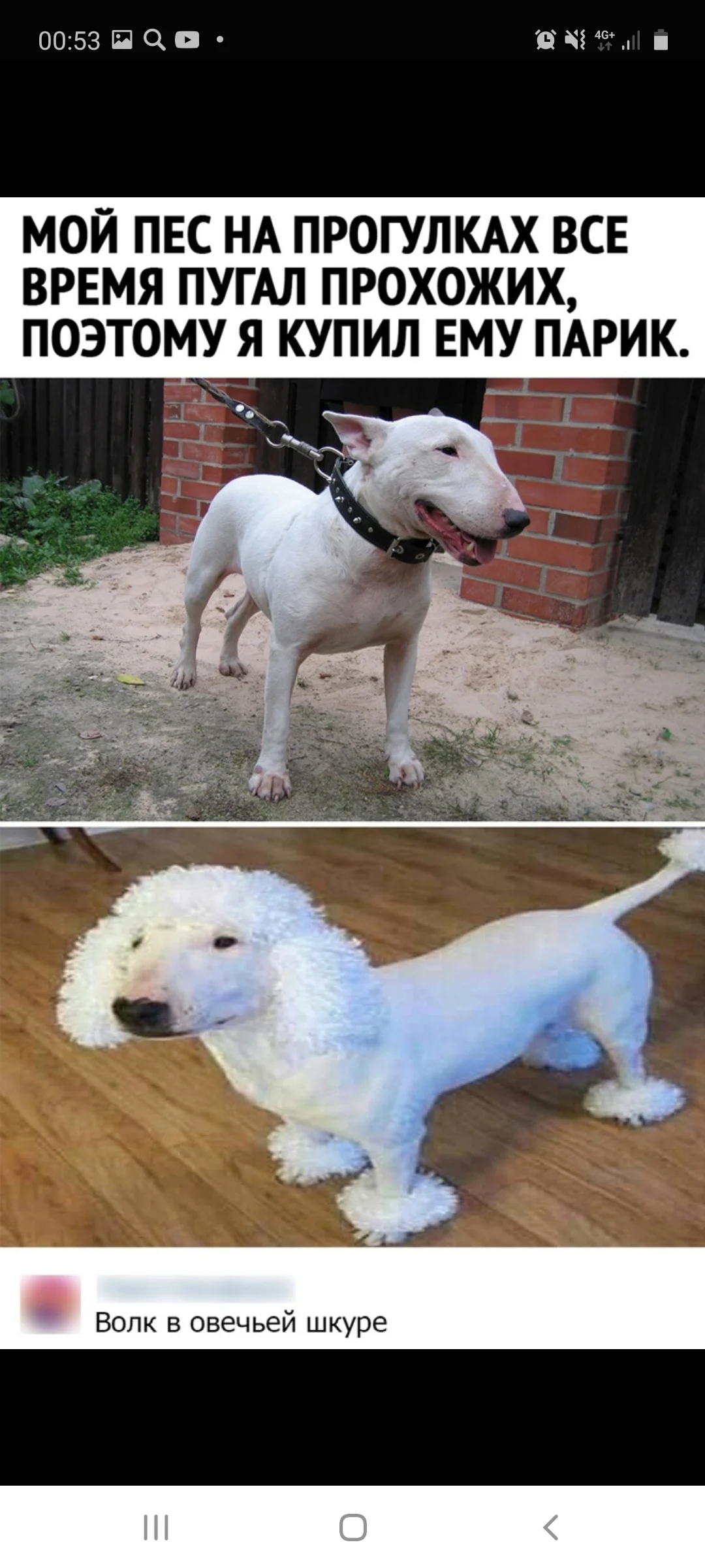 Screenshot_20201212-005355_Samsung Internet.webp