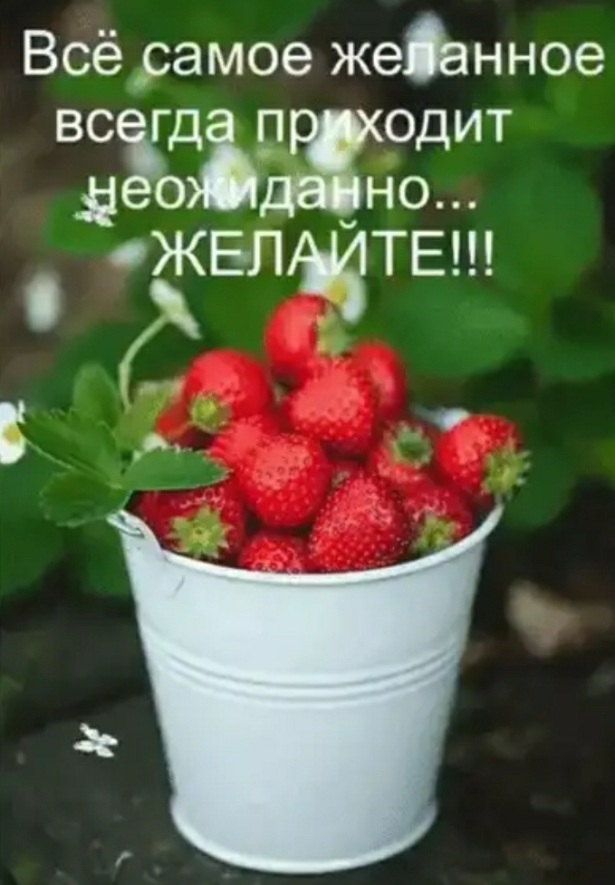 Screenshot_20201225-060644_Yandex.jpg