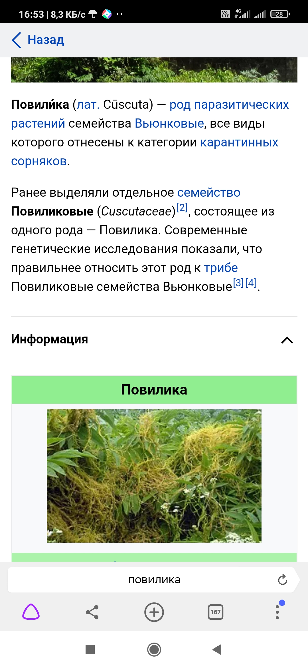 Screenshot_2021-05-20-16-53-12-518_com.yandex.browser.jpg