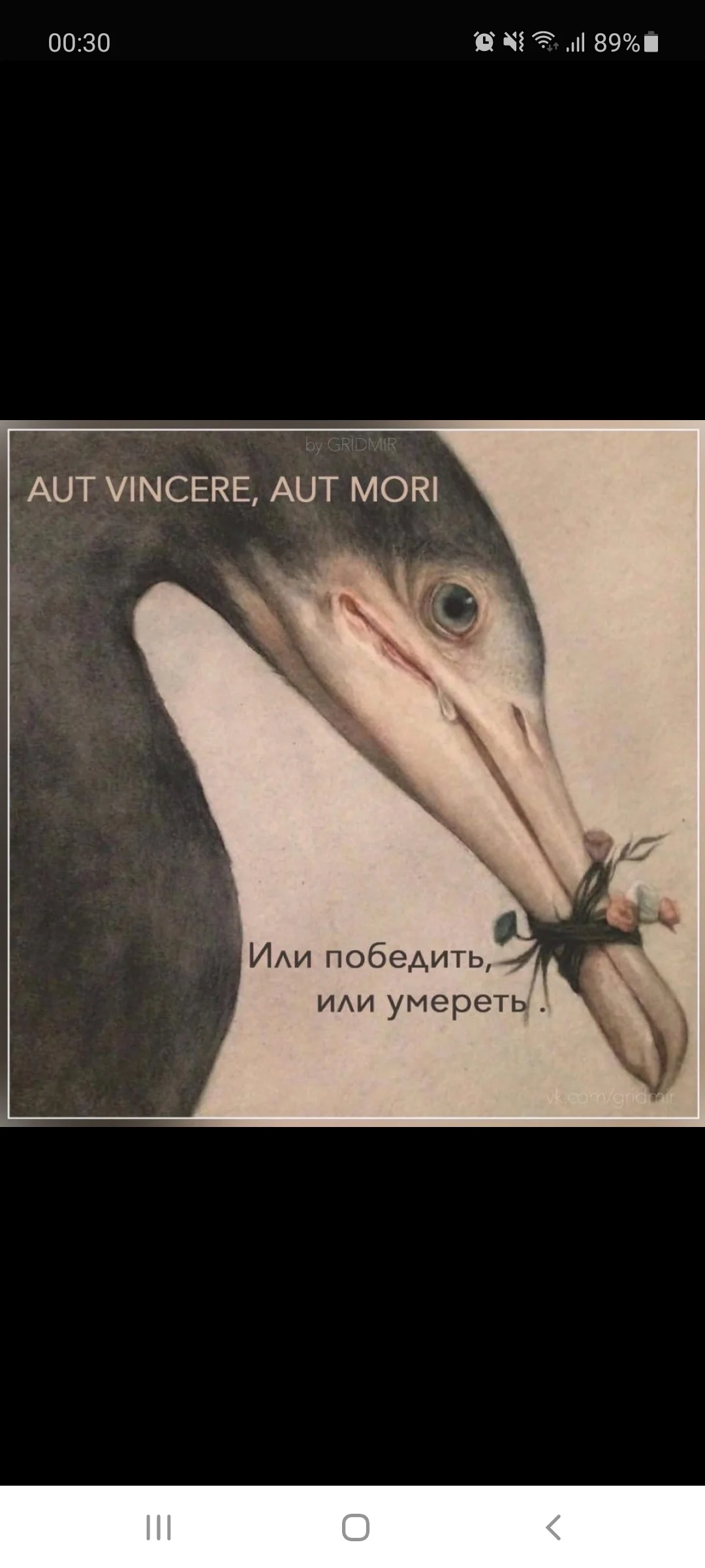 Screenshot_20210202-003031_Samsung Internet.webp