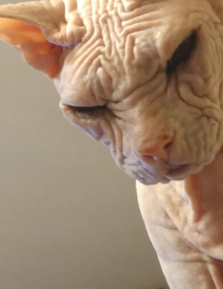 Screenshot_20210301-115005_Samsung Notes.webp