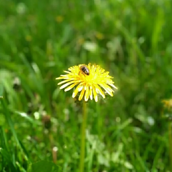 Screenshot_20210406-132729_Samsung Notes.webp