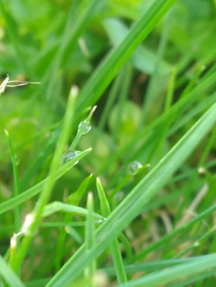 Screenshot_20210406-202254_Samsung Notes.webp