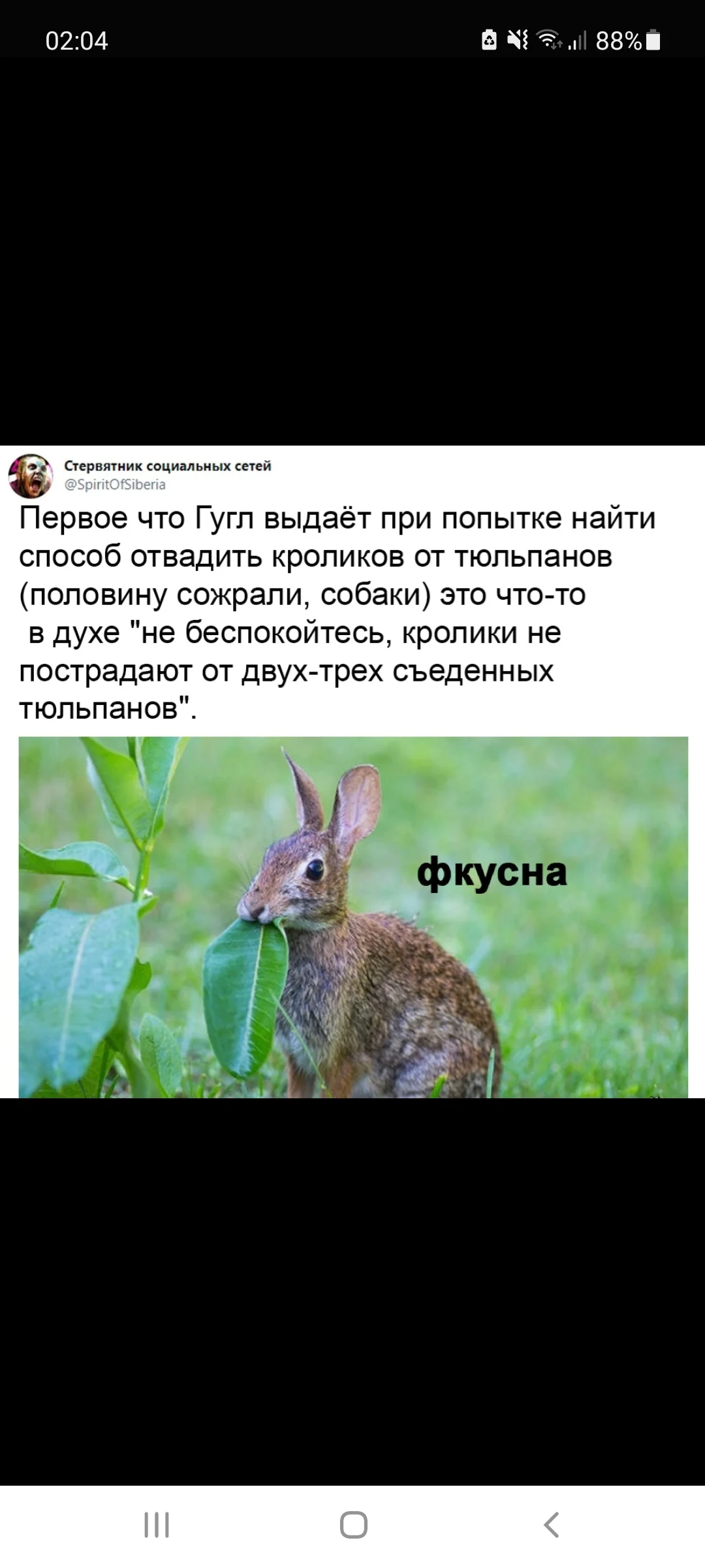 Screenshot_20210424-020420_Samsung Internet.webp