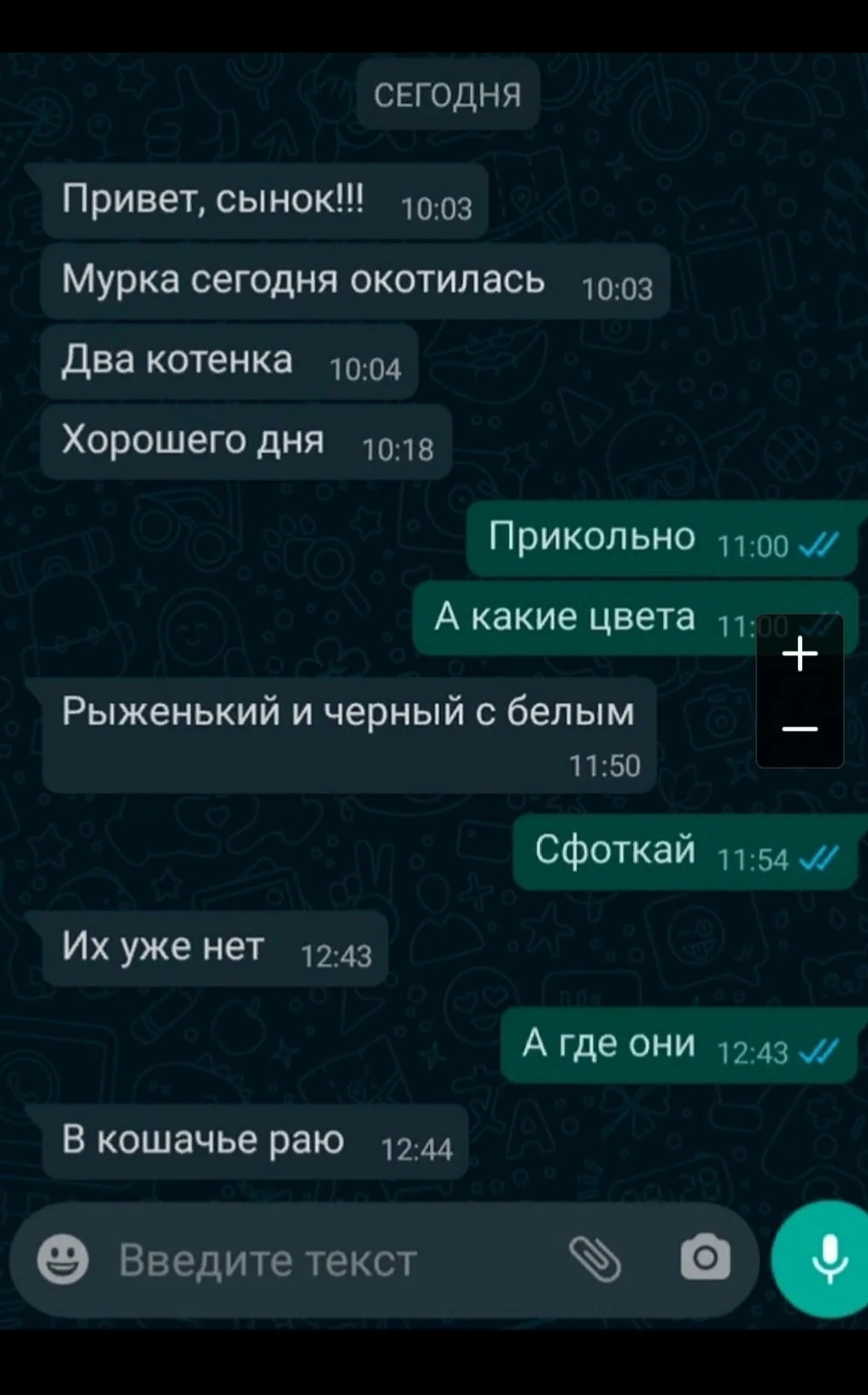 Screenshot_20210507-003255_Samsung Internet.webp