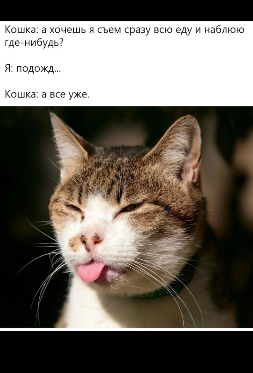 Screenshot_20210507-003715_Samsung Internet.webp