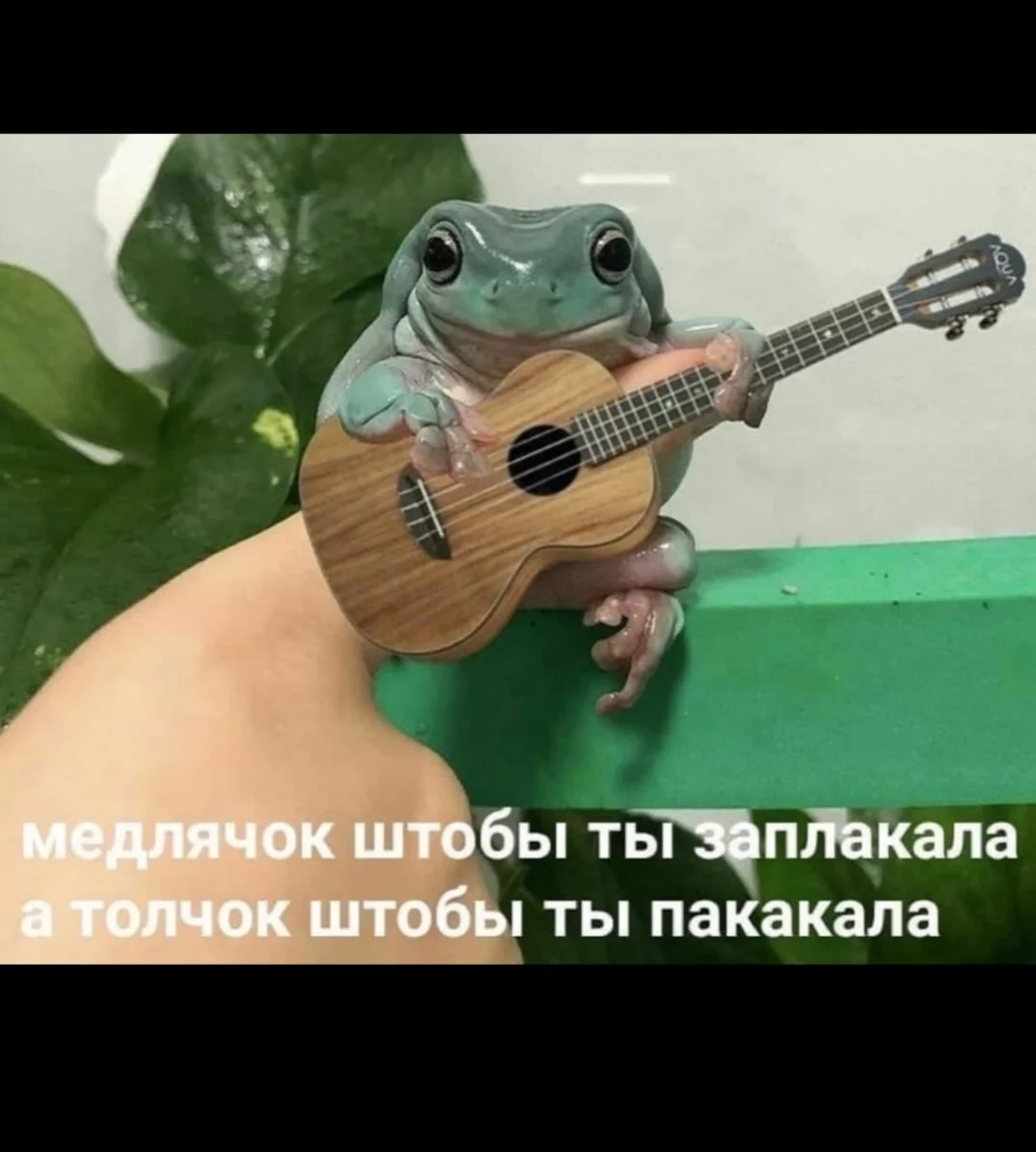 Screenshot_20210507-004206_Samsung Internet.webp