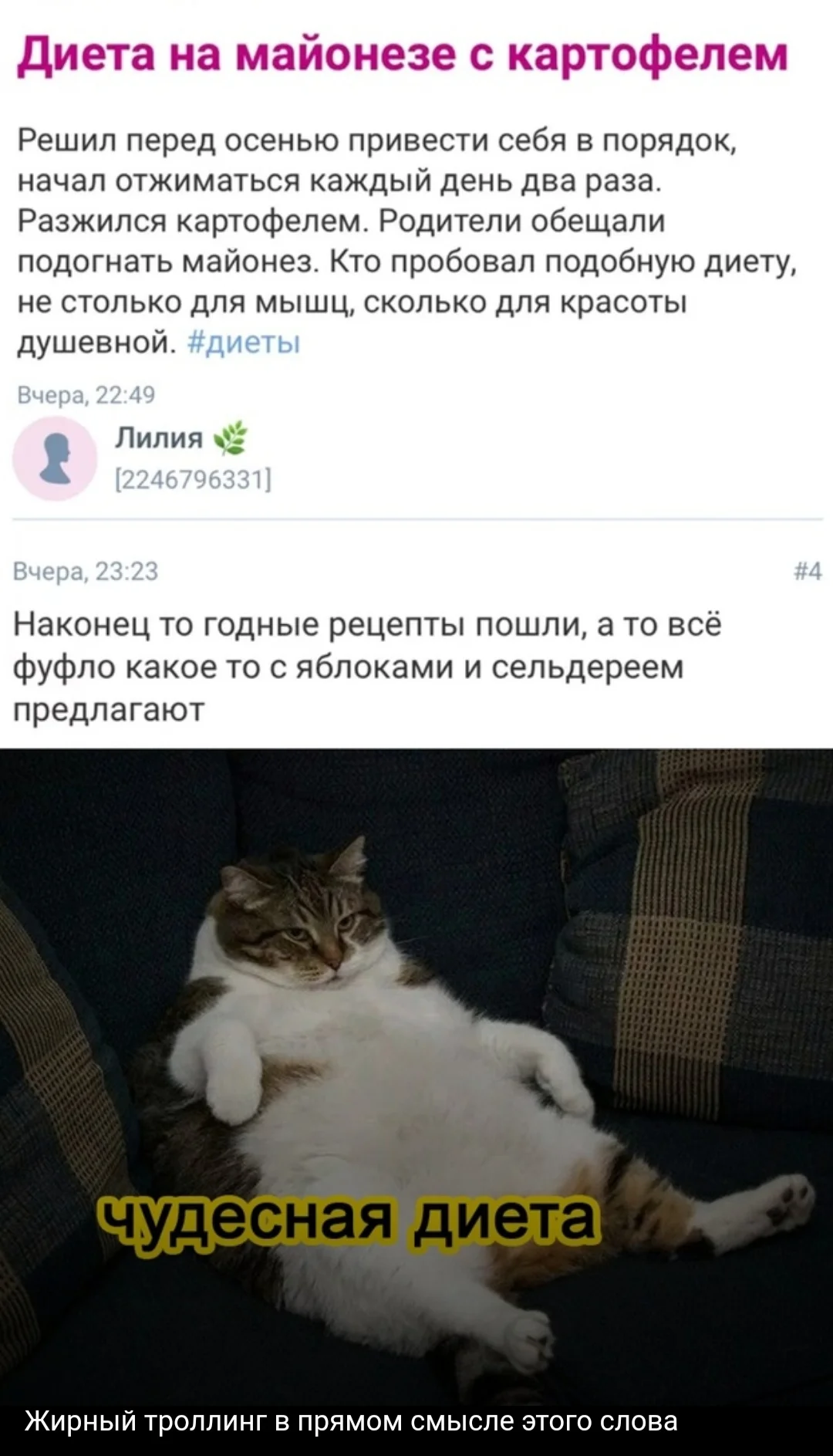 Screenshot_20210810-012129_Samsung Internet.webp