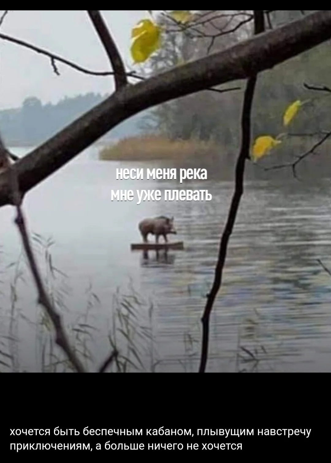 Screenshot_20210810-012726_Samsung Internet.webp