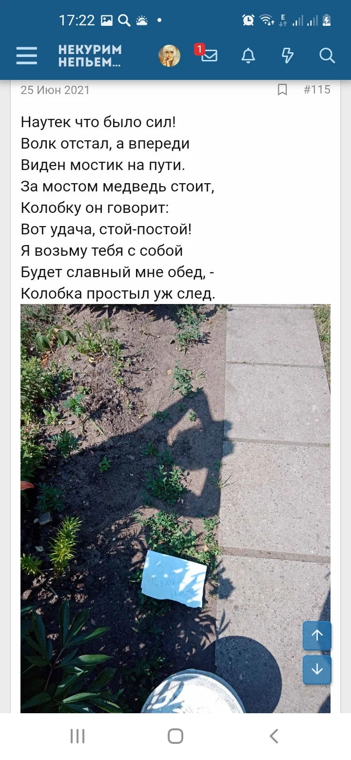 Screenshot_20210812-172208_Samsung Internet.jpg