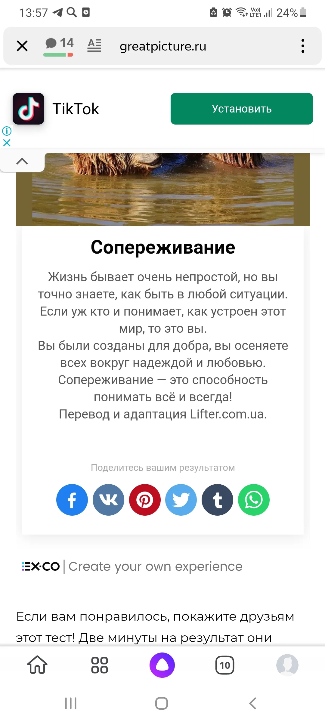 Screenshot_20210814-135710_Yandex.webp