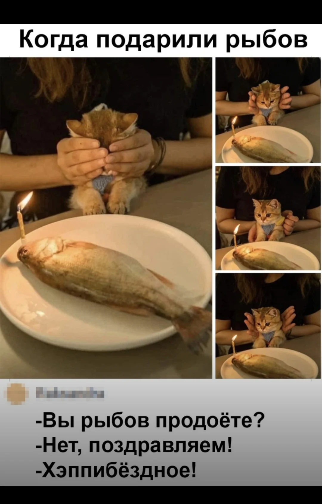 Screenshot_20210820-012239_Samsung Internet.webp