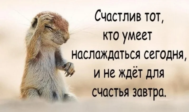 Screenshot_20210916-192113_VK.webp